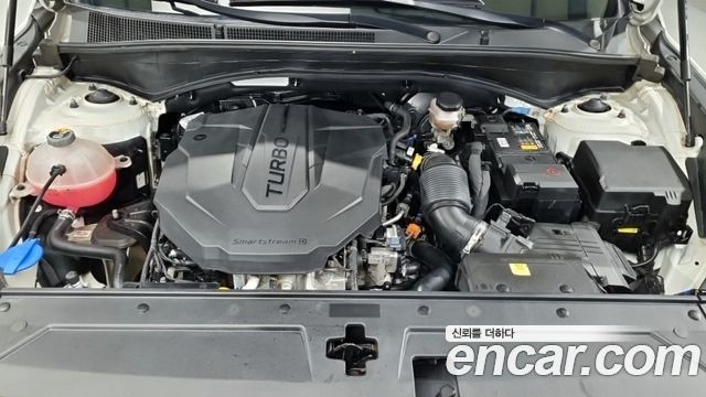 Hyundai Santa Fe Diesel 2.2 2WD Exclusive 2023 — фото 6