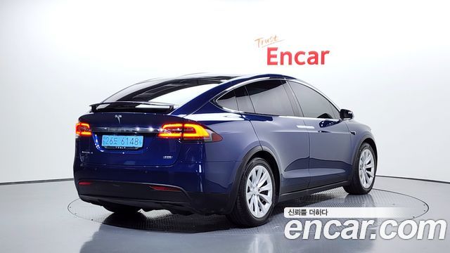 Tesla Model X 100D 2019 — фото 2
