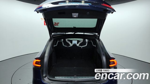 Tesla Model X 100D 2019 — фото 20