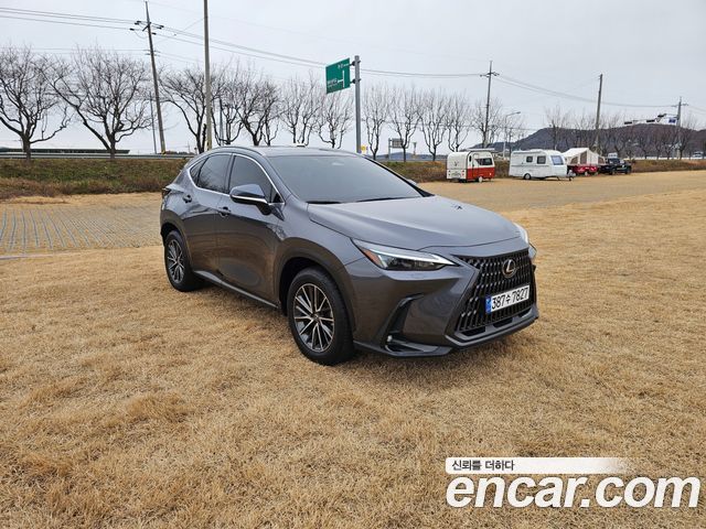 Lexus NX450h+ (II) Premium