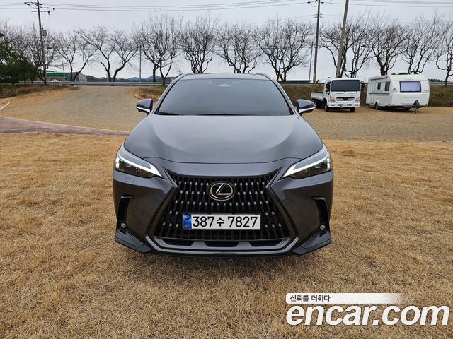Lexus NX450h+ (II) Premium 2024 — фото 2