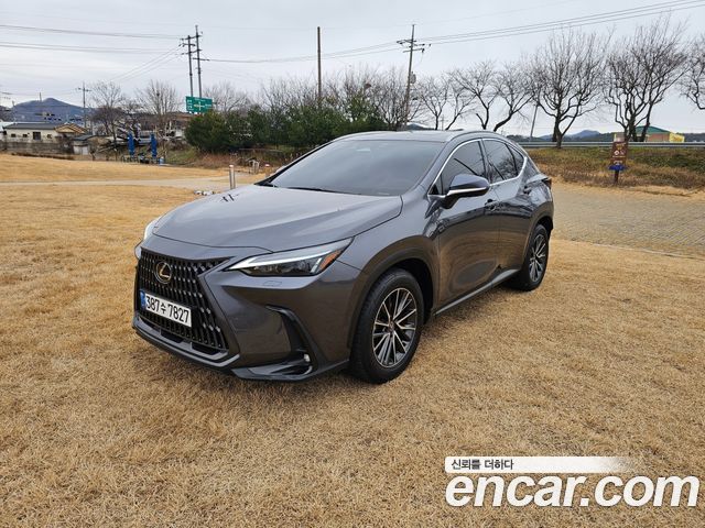 Lexus NX450h+ (II) Premium 2024 — фото 3