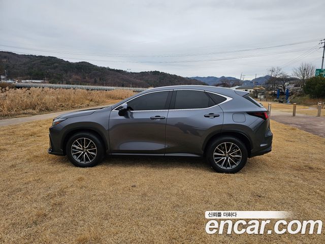 Lexus NX450h+ (II) Premium 2024 — фото 4