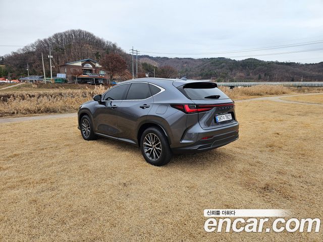 Lexus NX450h+ (II) Premium 2024 — фото 5