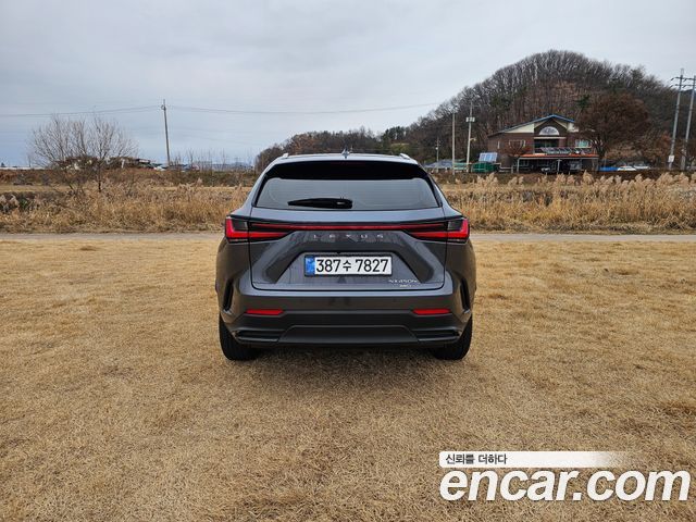 Lexus NX450h+ (II) Premium 2024 — фото 6