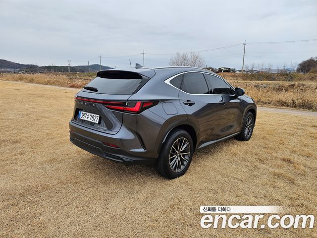 Lexus NX450h+ (II) Premium 2024 — фото 7
