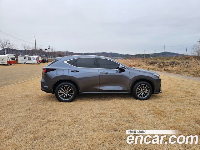 Lexus NX450h+ (II) Premium 2024 — фото 8