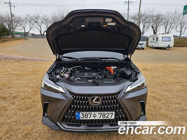 Lexus NX450h+ (II) Premium 2024 — фото 15