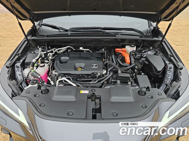 Lexus NX450h+ (II) Premium 2024 — фото 16