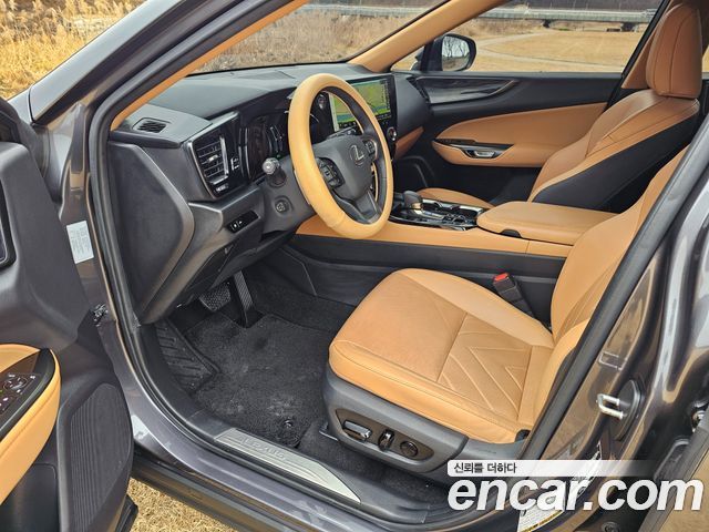 Lexus NX450h+ (II) Premium 2024 — фото 18