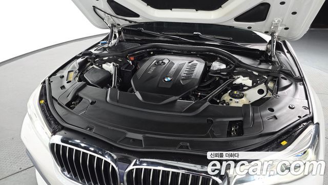 BMW 7 Series (G11) 730d xDrive M Sport 2017 — фото 6