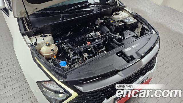 Kia Sportage (V) Gasoline 1.6 Turbo 2WD Trendy 2022 — фото 6
