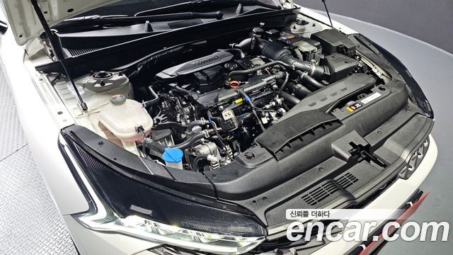 Kia K5 (III) 1.6 Turbo Noblesse 2023 — фото 6