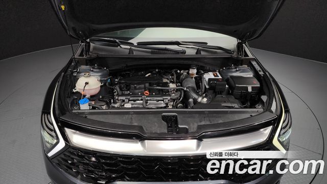 Kia Sportage (V) Gasoline 1.6 Turbo 2WD Nobleless 2022 — фото 6