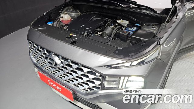 Hyundai Santa Fe Diesel 2.2 2WD Premium Choice 2021 — фото 6