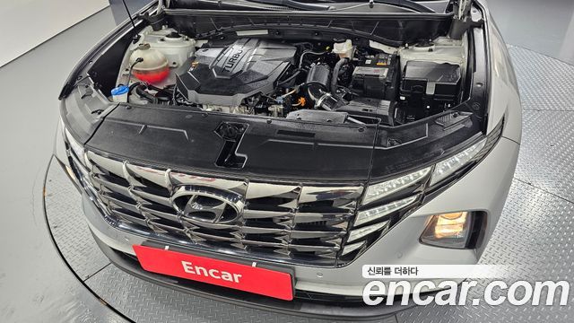 Hyundai Tucson (NX4) Diesel 2.0 4WD Premium 2022 — фото 6