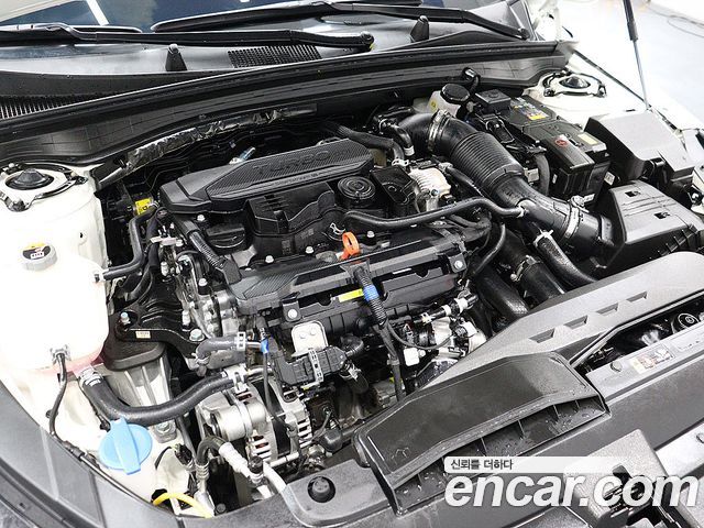 Kia K5 (III) 1.6 Turbo Noblesse 2025 — фото 23