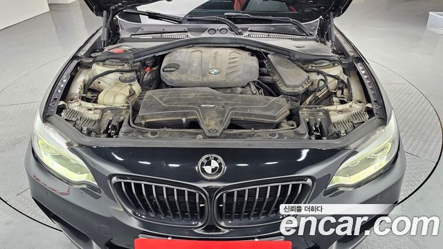BMW 2 Series (F22) 220d M Sport Coupe 2014 — фото 6
