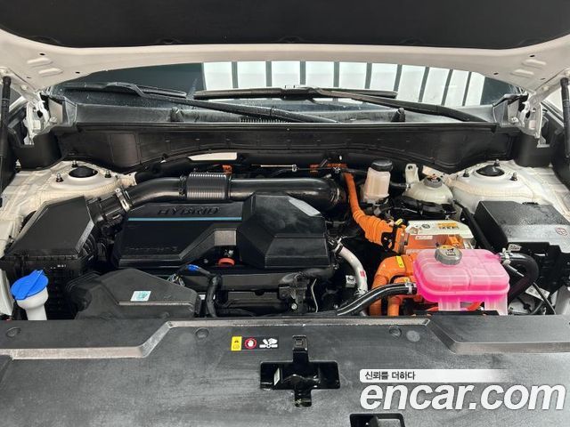 Hyundai Santa Fe (MX5) HEV 1.6 4WD Calligraphy 2024 — фото 5