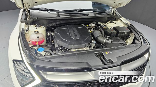 Kia Sportage (V) Diesel 2.0 2WD Nobleless 2022 — фото 6
