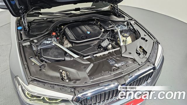 BMW 5 Series (G30) 520d xDrive Luxury Plus 2019 — фото 6