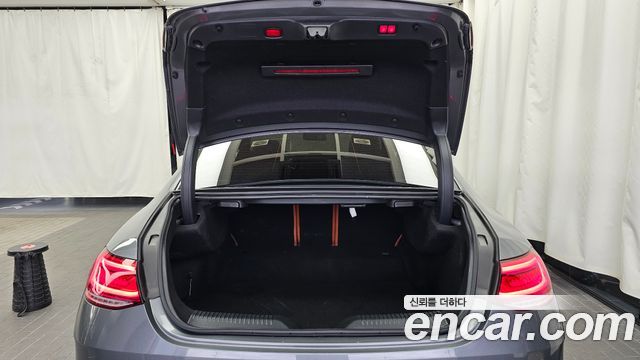 Mercedes-Benz CLS-Class (C257) CLS300d 4MATIC 2022 — фото 20