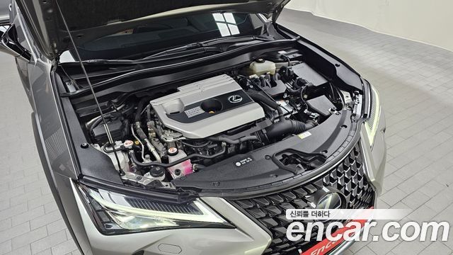 Lexus UX250h 2.0 2WD 2020 — фото 6