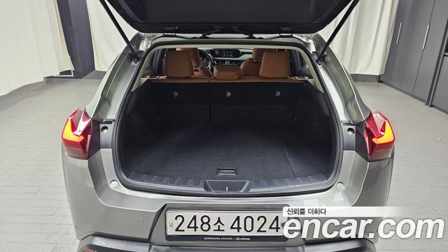 Lexus UX250h 2.0 2WD 2020 — фото 20