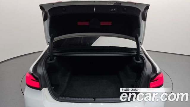BMW 5 Series (G30) 530i xDrive Luxury 2023 — фото 19