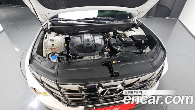 Hyundai Tucson (NX4) Diesel 2.0 4WD Modern 2023 — фото 6
