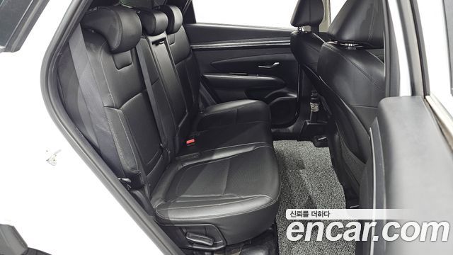 Hyundai Tucson (NX4) Diesel 2.0 4WD Modern 2023 — фото 11
