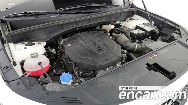 Kia Sorento (IV) Diesel 2.2 2WD Trendy 2022 — фото 6