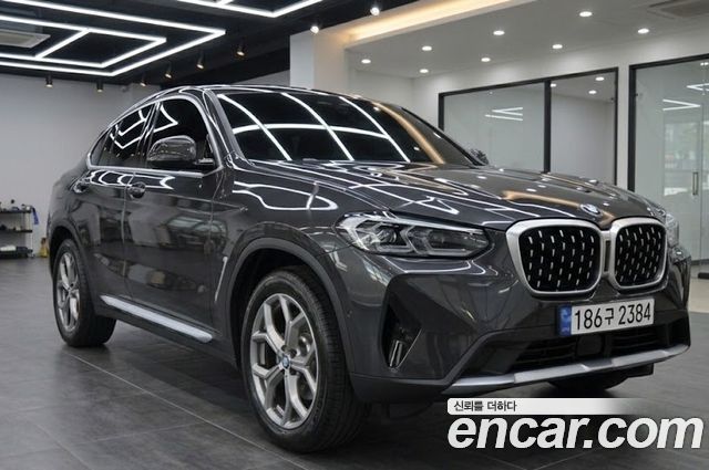 BMW X4 (G02) xDrive20i xLine