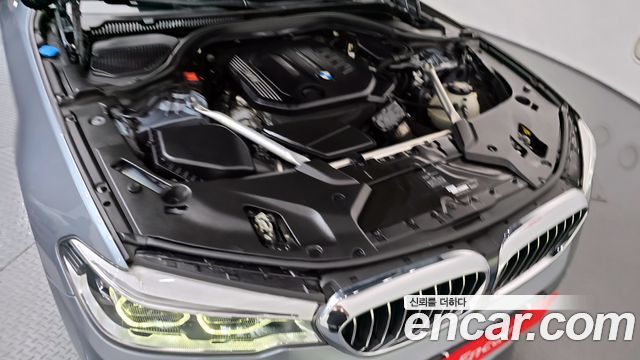 BMW 5 Series (G30) 520d xDrive Luxury Plus 2020 — фото 6
