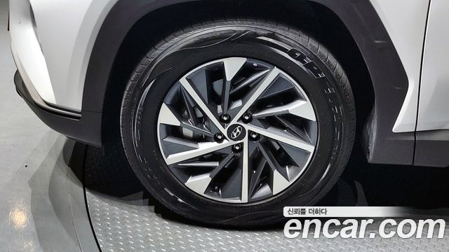 Hyundai Tucson (NX4) Diesel 2.0 2WD Premium 2023 — фото 5