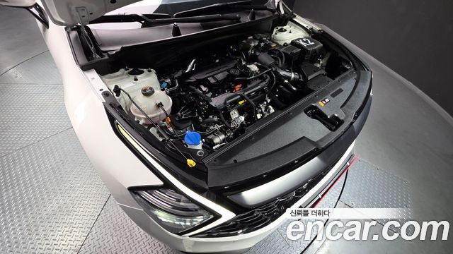Kia Sportage (V) Gasoline 1.6 Turbo 2WD Signature 2024 — фото 6