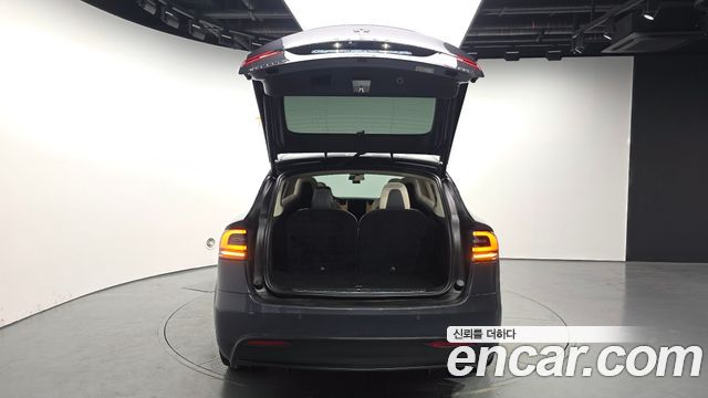 Tesla Model X 100D 2019 — фото 20