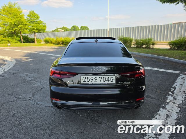Audi A5 (F5) 45 TFSI Quattro Coupe 2019 — фото 4