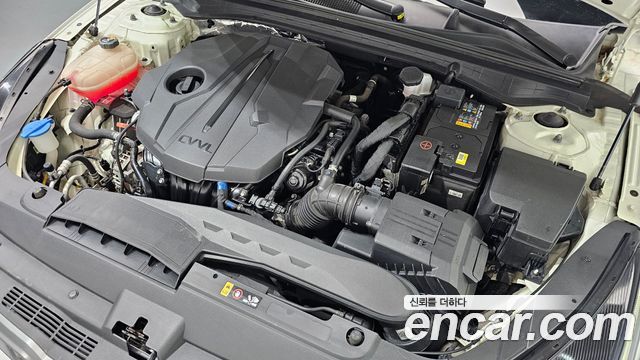 Kia K5 (III) 2.0 Trendy 2021 — фото 6