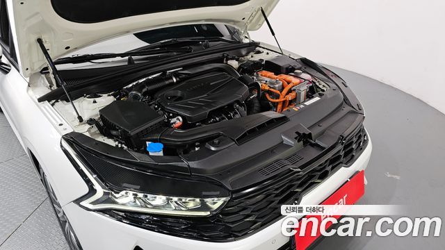 Kia K5 Hybrid (III) Noblesse 2023 — фото 6