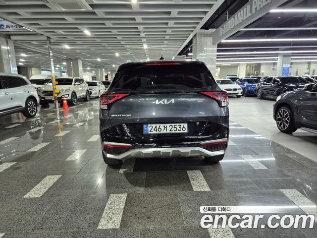 Kia Sportage (V) LPG 2.0 2WD Signature 2024 — фото 7