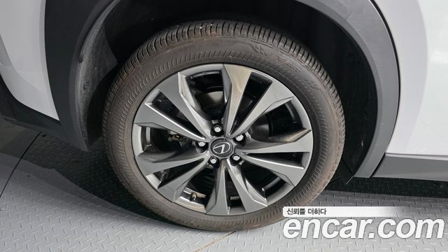Lexus UX250h 2.0 F-Sport 2WD 2024 — фото 5