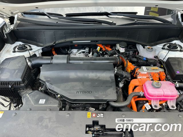 Hyundai Palisade (LX3) HEV 2.5T 4WD 7-Seater Calligraphy 2026 — фото 6