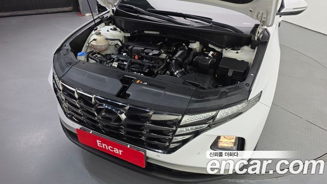 Hyundai Tucson (NX4) Gasoline 1.6 Turbo 2WD Premium 2021 — фото 6