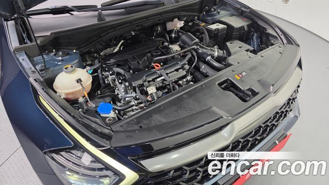 Kia Sportage (V) Gasoline 1.6 Turbo 2WD Signature Gravity 2022 — фото 6