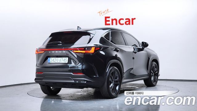 Lexus NX350h (II) Premium 2025 — фото 2