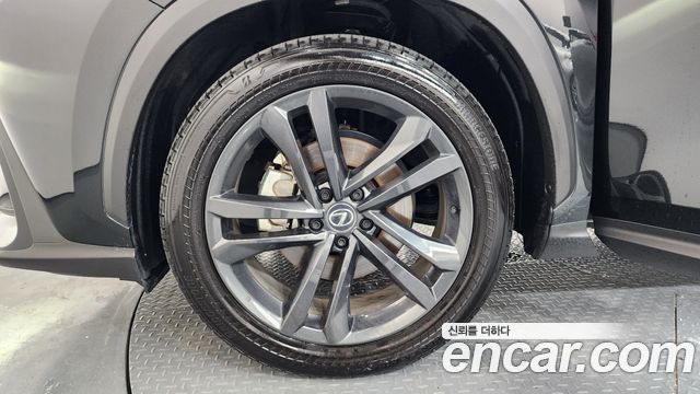 Lexus NX350h (II) Premium 2025 — фото 5