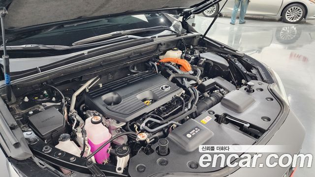 Lexus NX350h (II) Premium 2025 — фото 6