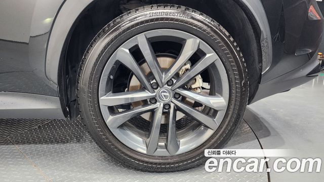 Lexus NX350h (II) Premium 2025 — фото 21