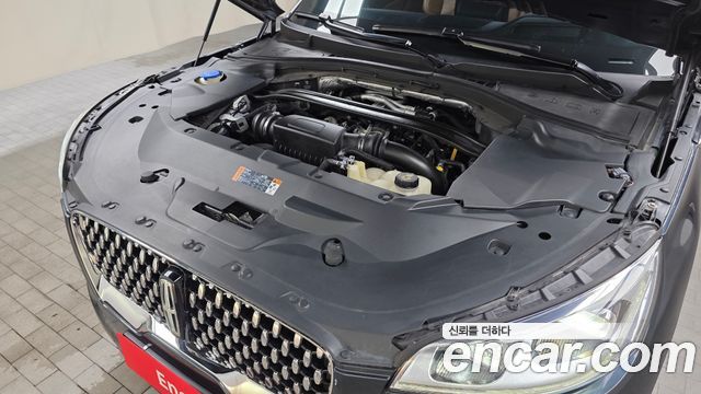 Lincoln Aviator (II) 3.0 Black Label AWD 2020 — фото 6